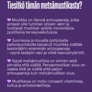 Faktalaatikko metsämustikan ominaisuuksista